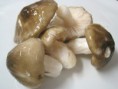 Llenegues